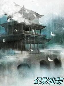 幻影特工